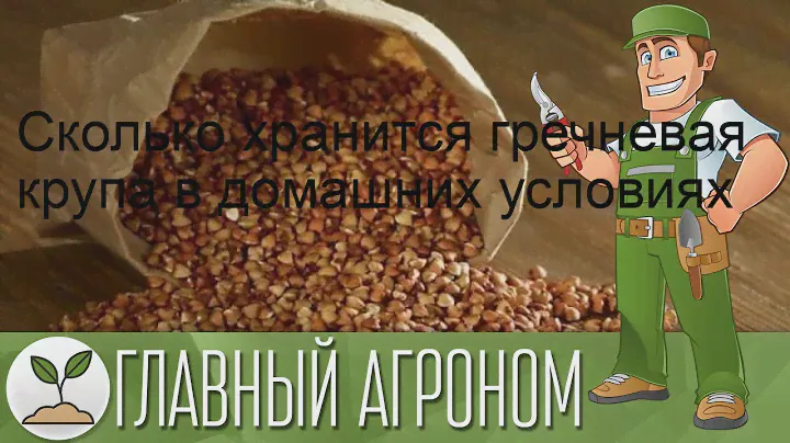 Сколько хранится гречневая крупа в домашних условиях