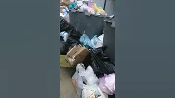 Монополист Эколайн не справляется с объёмами!!!! Это в 30 км от Москвы. Так этот бардака надоел